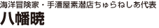海洋冒険家・手漕屋素潜店ちゅらねしあ代表　八幡暁